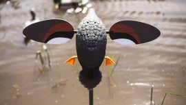 Balabán MOJO Gadwall - kopřivkacsalogató