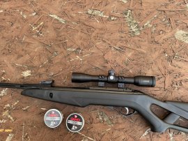 Értékelések: Diabolo Gamo Pro Magnum Penetration 4,5mm 500db - 1