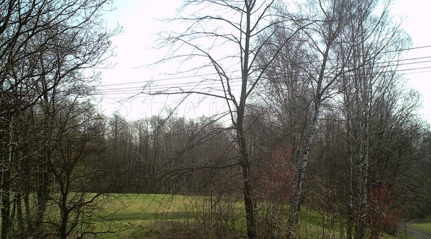 Forestcam Tiny vadkamera