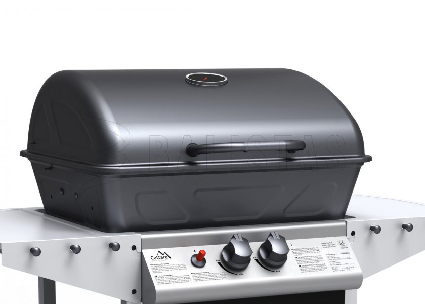 Grill Party Point mobil