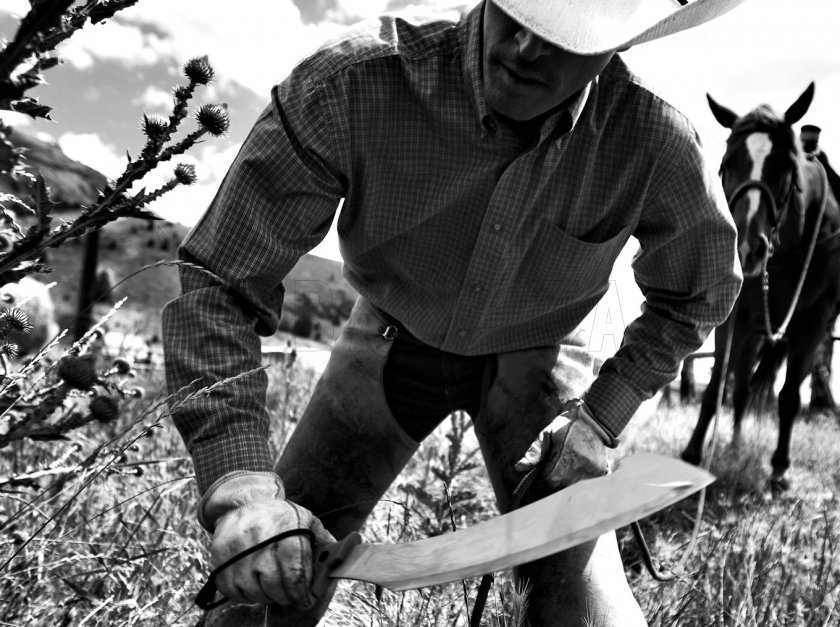 Gerber Broadcut machete