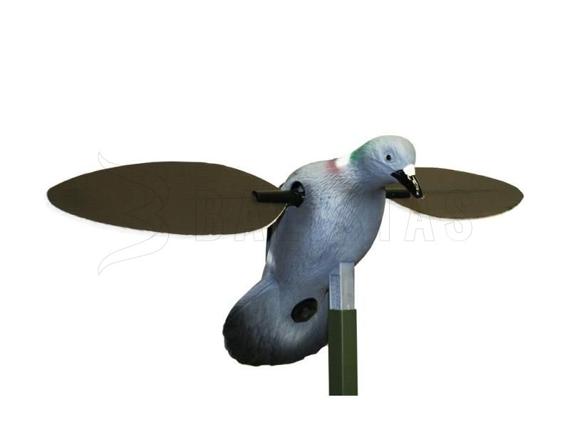 Balabán MOJO Pigeon - galamb