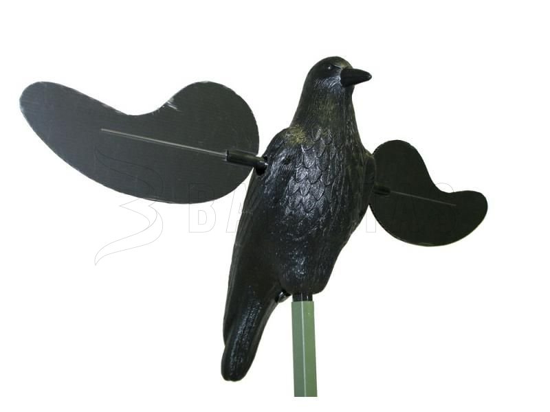 Balabán MOJO Crow - varjú