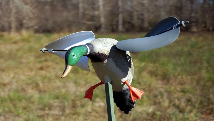 Balabán MOJO Wind Duck Mallard - Szélenergiás Vadkacsa