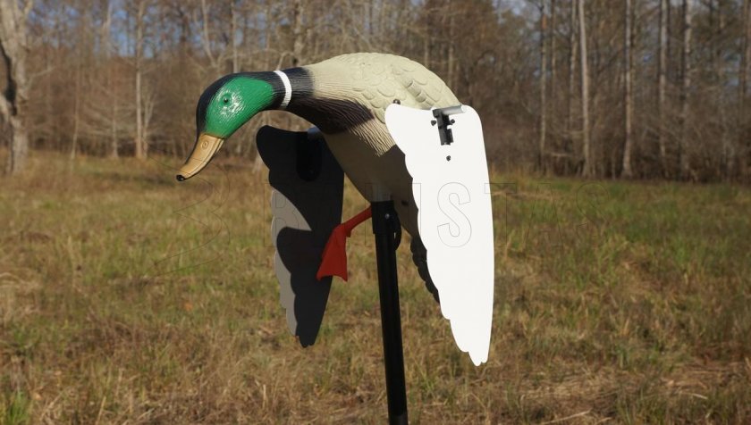 Balabán MOJO Super Mallard – Vad Kacsa
