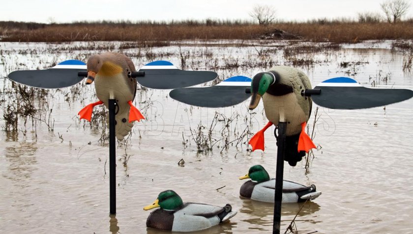 Balabán MOJO Mallard Hen - Vadréce