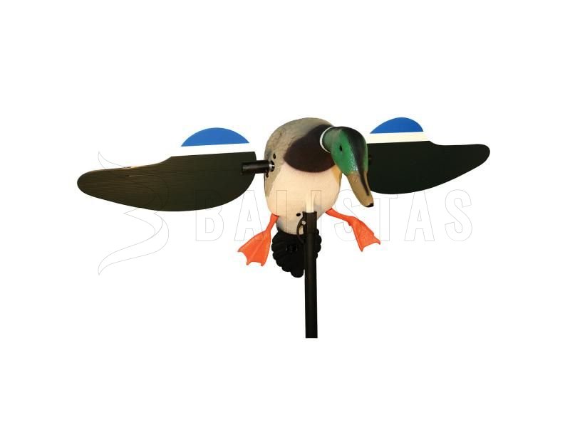 Balabán MOJO Mallard Drake - Vadkacsa