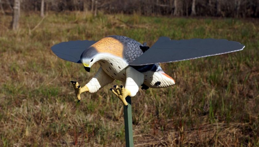 Balabán MOJO Hawk - Héja