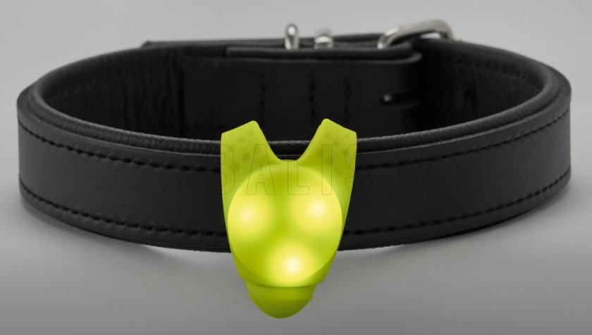 Világító LED medál nyakörvre Hunter