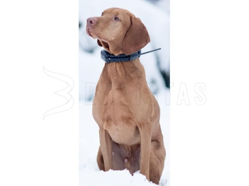 Nyakörv GPS lokátorhoz Dogtrace DOG GPS X20