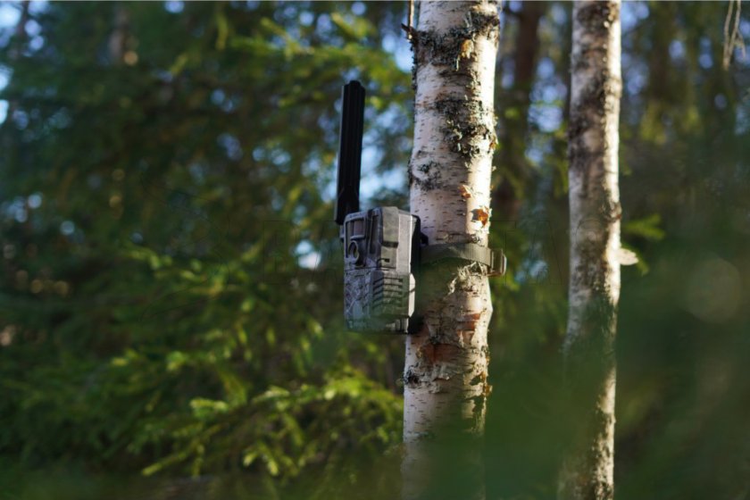 Vadkamera Hikmicro M15