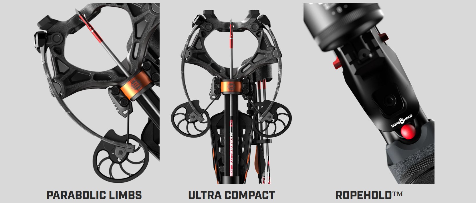 Raptor BCX 01