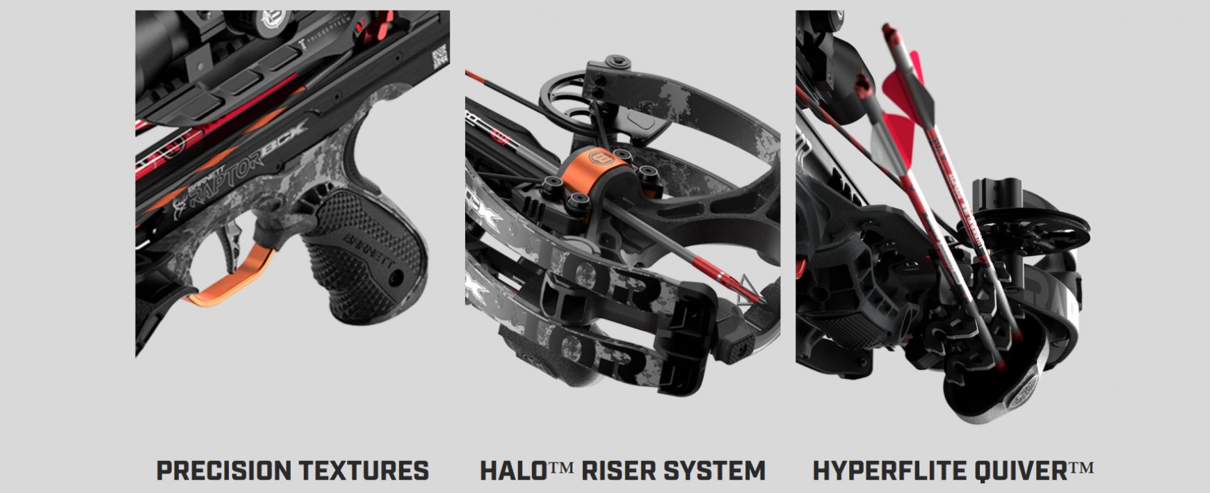 Raptor BCX 02